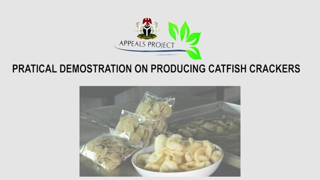 Documentary On Preparation of Catfish Crackers