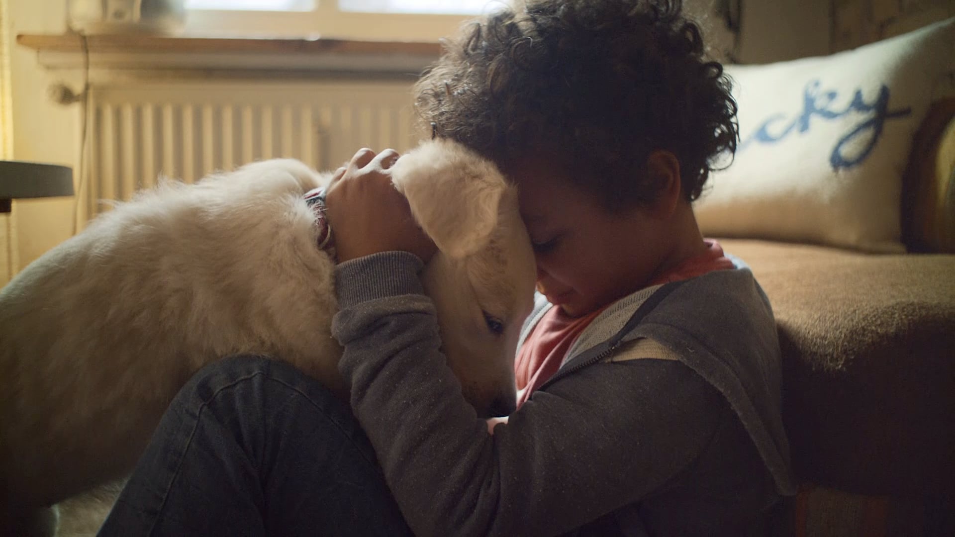purina "your bond"