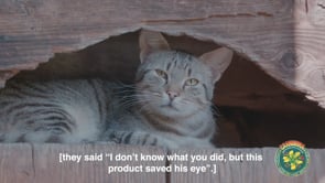 Carnivora Pet Stories