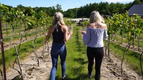 Breweries & Wineries in Huron County