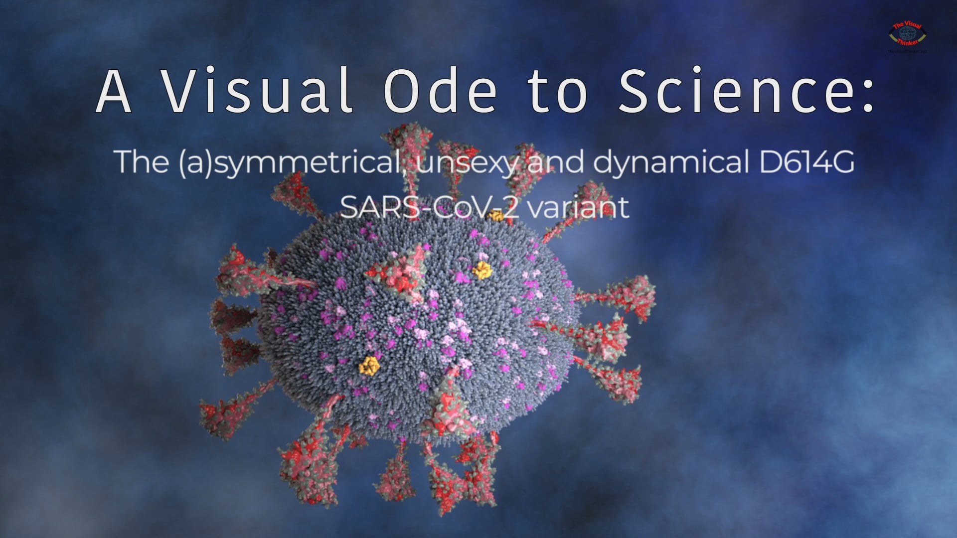 A Visual Ode to Science: The asymmetrical, unsexy and dynamical D614G  SARS-CoV-2 variant