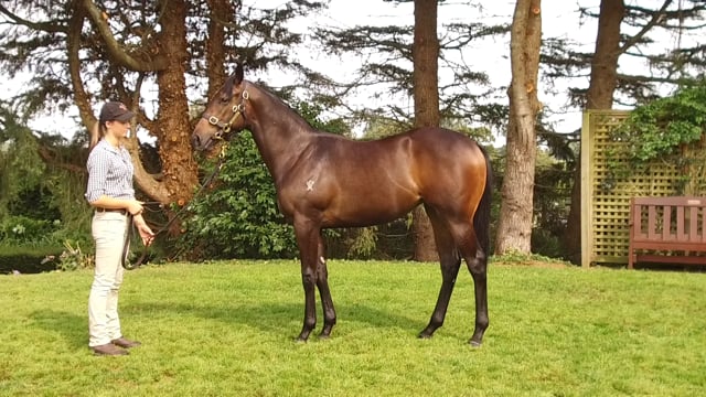 Lot 719