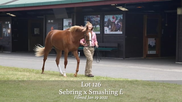 Lot 126