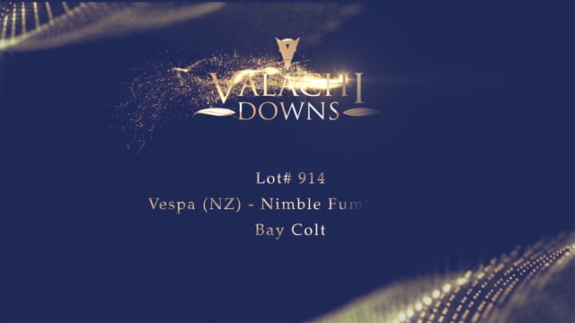 Lot 914