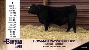 Lot #1 - BOWMAN PAYWEIGHT 031