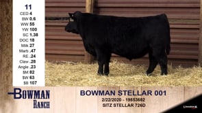 Lot #11 - BOWMAN STELLAR 001