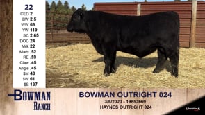 Lot #22 - BOWMAN OUTRIGHT 024