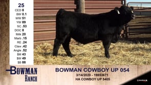 Lot #25 - BOWMAN COWBOY UP 054
