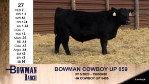 Lot #27 - BOWMAN COWBOY UP 059