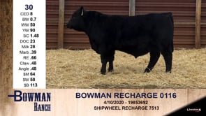Lot #30 - BOWMAN RECHARGE 0116