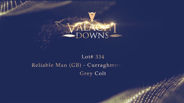 Lot 334