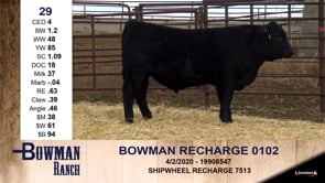 Lot #29 - BOWMAN RECHARGE 0102