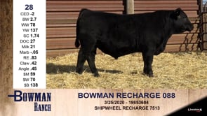 Lot #28 - BOWMAN RECHARGE 088