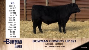 Lot #26 - BOWMAN COWBOY UP 021