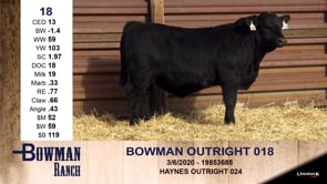 Lot #18 - BOWMAN OUTRIGHT 0188