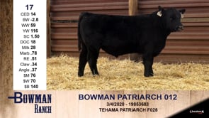 Lot #17 - BOWMAN PATRIARCH 012