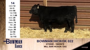 Lot #14 - BOWMAN HICKOK 022
