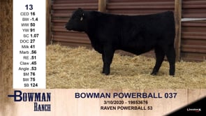 Lot #13 - BOWMAN POWERBALL 037