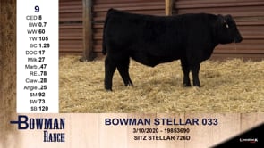Lot #9 - BOWMAN STELLAR 033