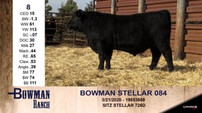 Lot #8 - BOWMAN STELLAR 084