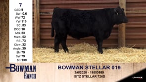 Lot #7 - BOWMAN STELLAR 019