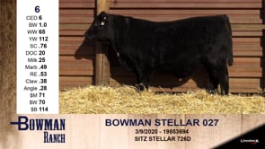Lot #6 - BOWMAN STELLAR 027