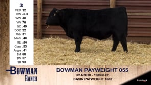 Lot #3 - BOWMAN PAYWEIGHT 055