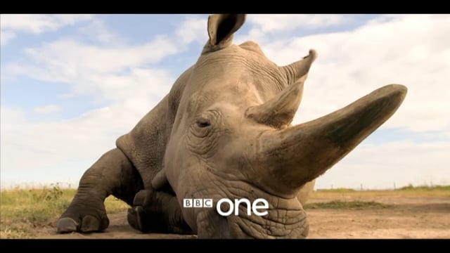 David Attenborough: Extinction The Facts 