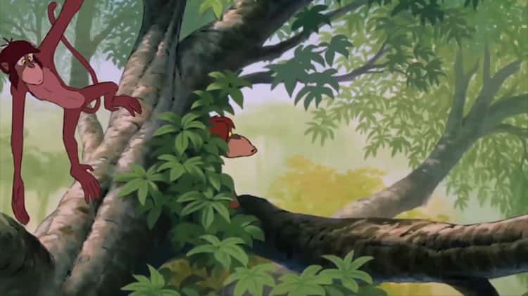 in the jungle song on Vimeo