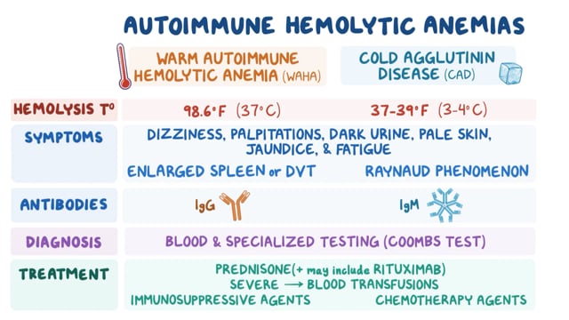 Warm Autoimmune Hemolytic Anemia (WAIHA) Pipeline Insight,, 44% OFF