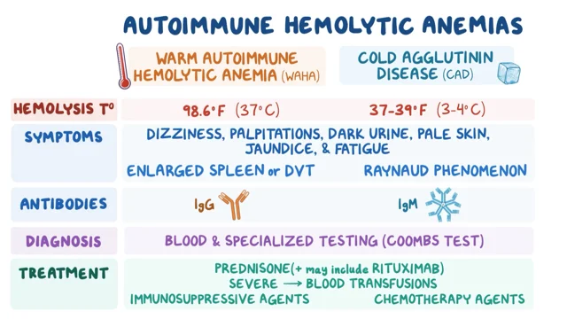 Cold Agglutinin Disease - Symptoms, Causes, Treatment