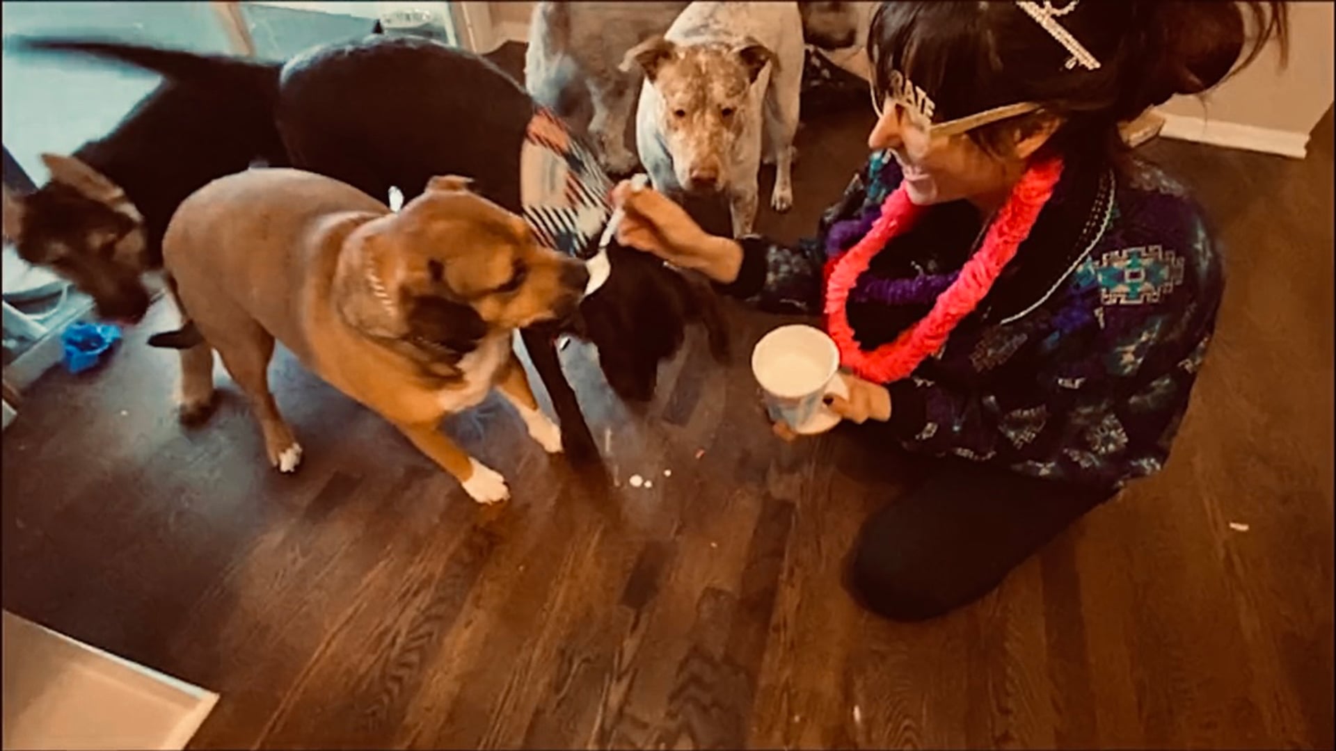 No ‘Копы (Cops)’ Catchin’ These Barkday Pup Pawtiers: To You, Char Char!