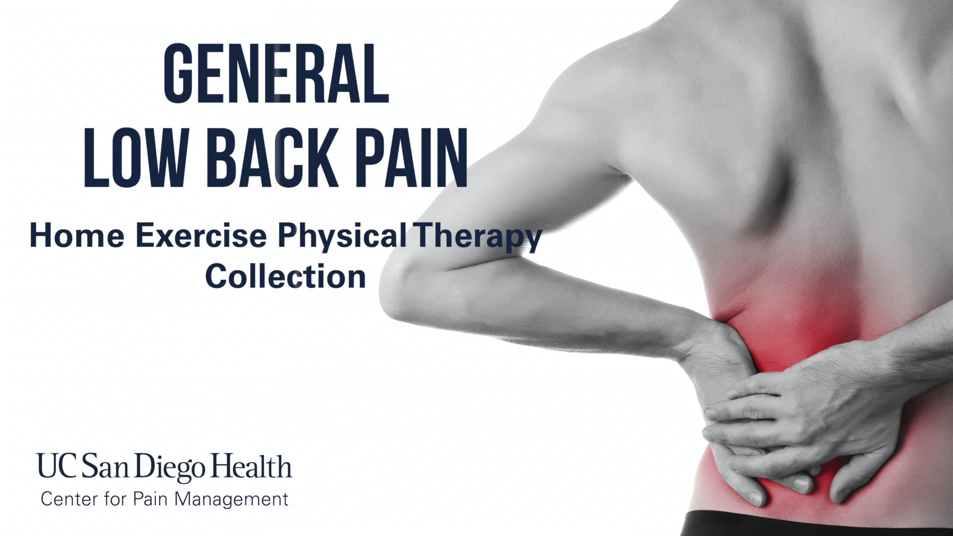 Exercises in Physical Therapy for Lower Back Pain