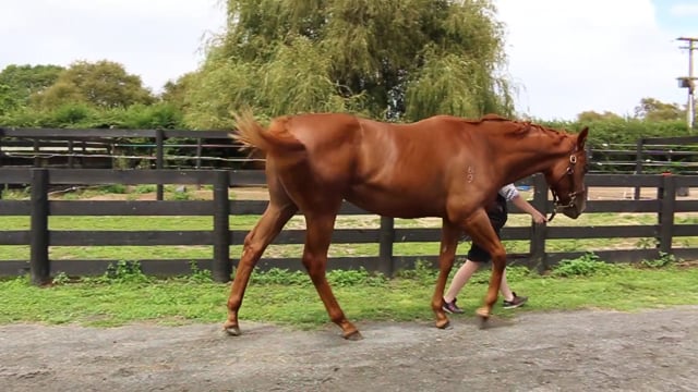 Lot 773