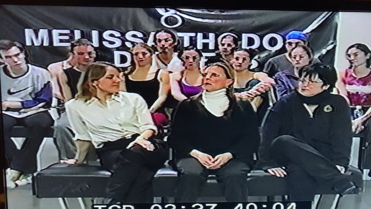 CAUTION: Side Effects-- Ann Reinking on the work and its meaning