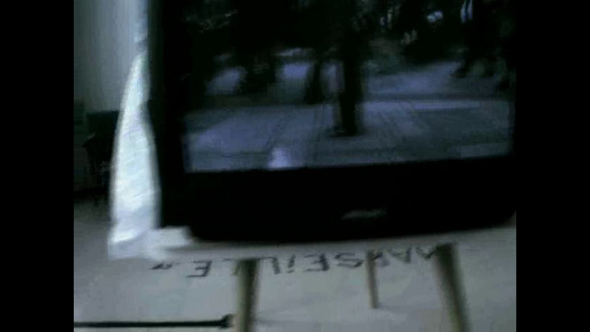 Inventaire des corps mouvementés (VIENNE, Autriche)