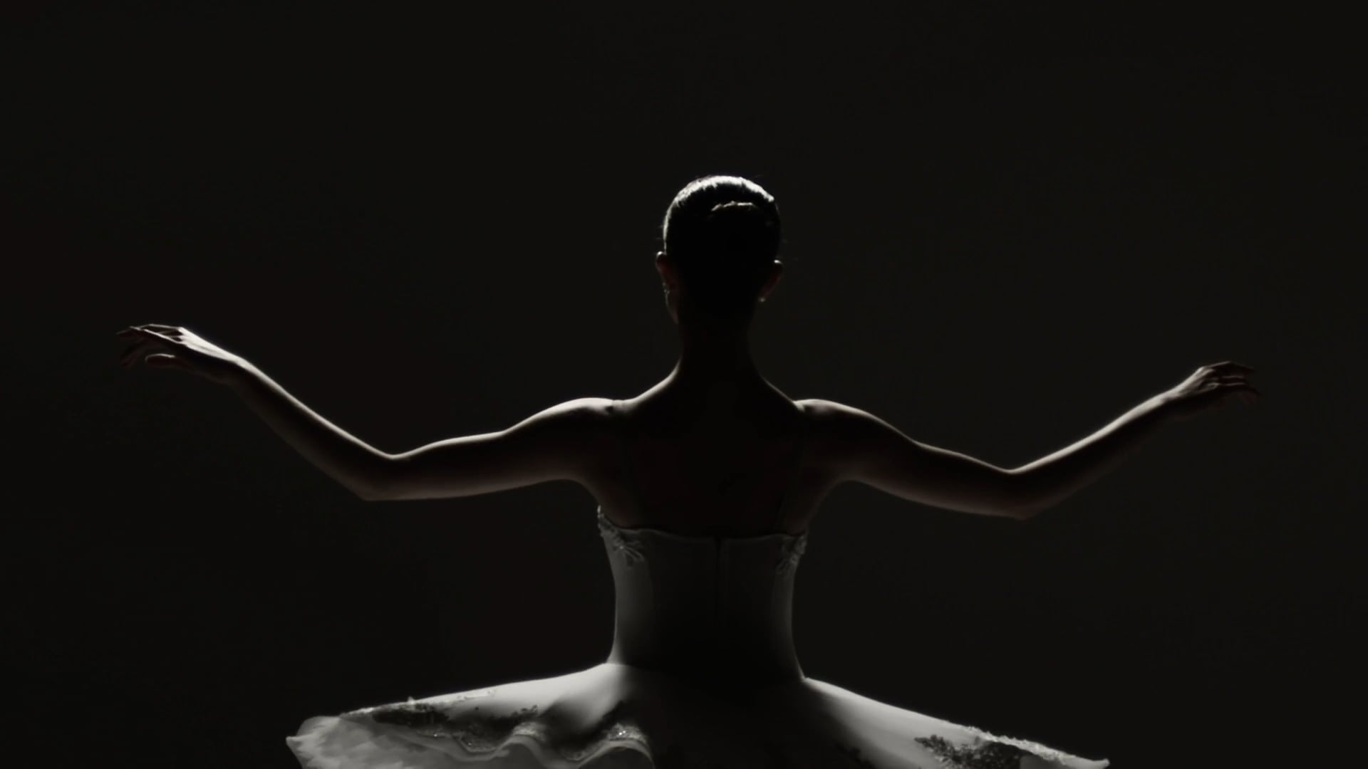 Hunter Douglas Studios Reel