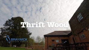 Thrift Wood tree planting