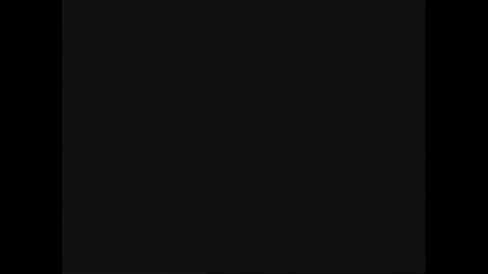 In the Dark