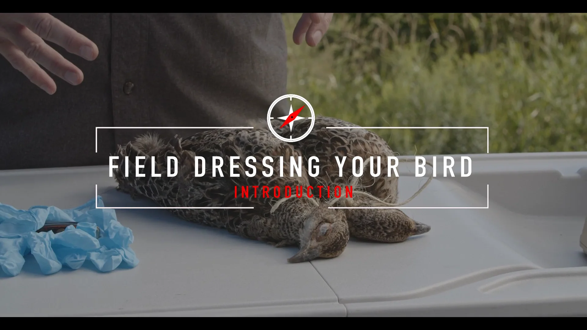 HCL - Upland Birds - 3. Lesson 6 Field Dressing Your Bird Introduction ...