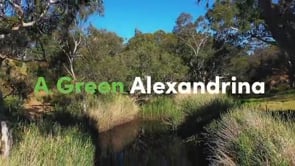 Chapter 2 - Green
