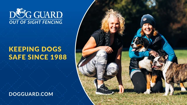 Dog guard hot sale fencing