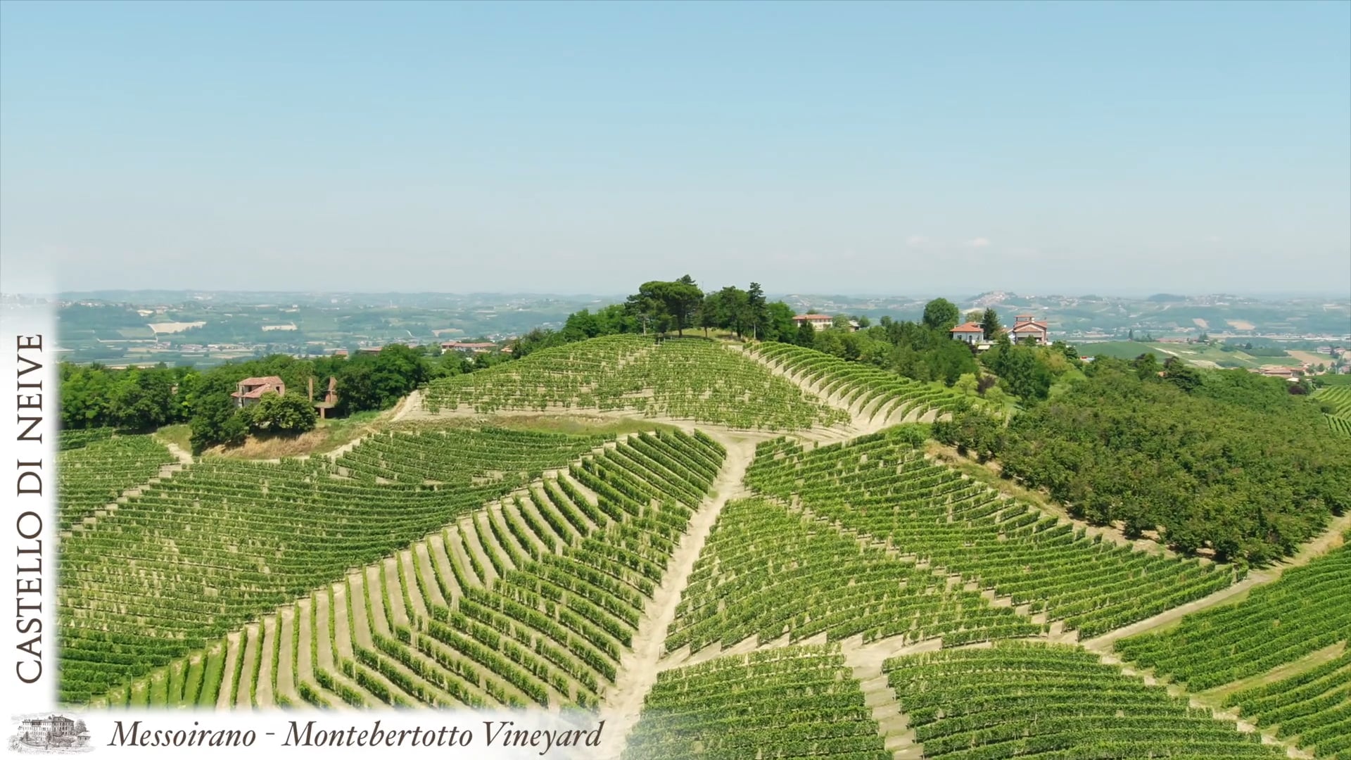 Vigneti Messoirano e Montebertotto dall'alto