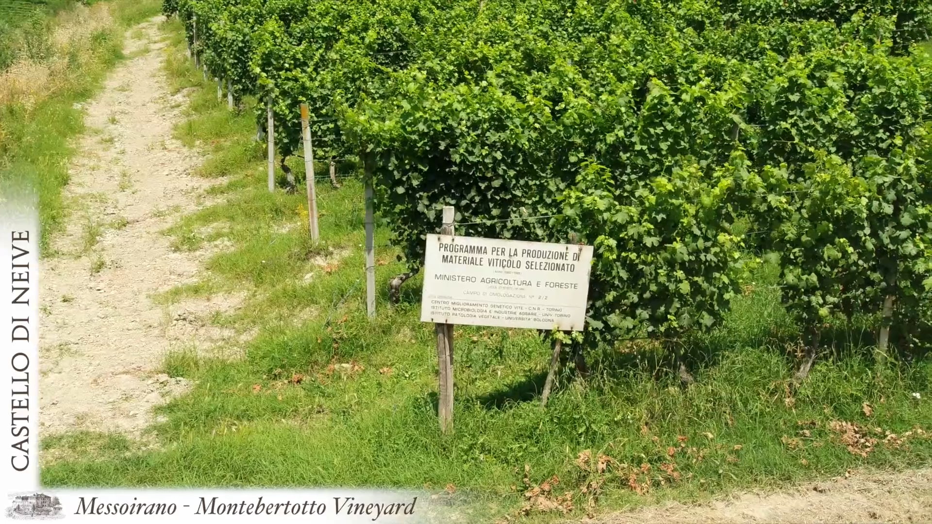 Vigneti Messoirano Montebertotto