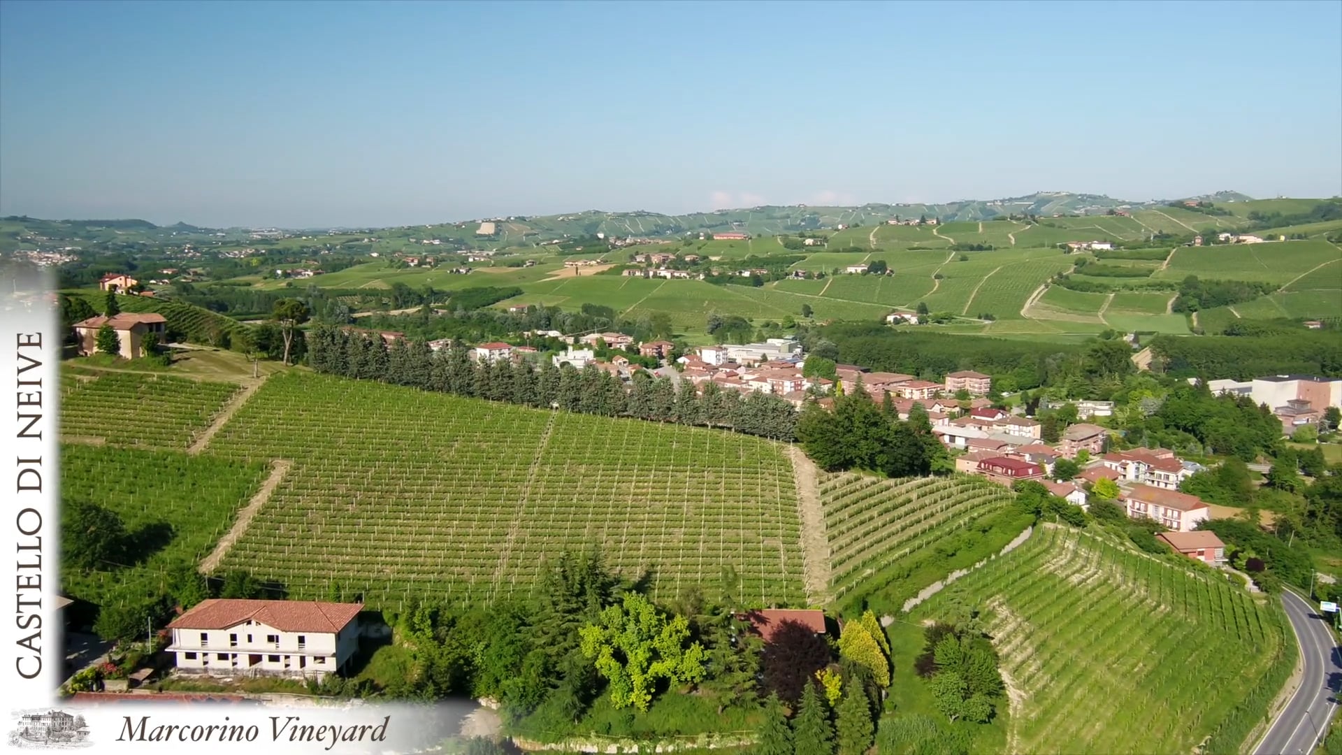 Vigneto Marcorino