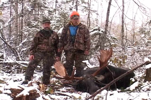 A moose Hunt @ Cedar Ridge Outfitters