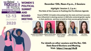 Session 3 — The Role of the Caucus in Pushing the Pro-Woman Agenda