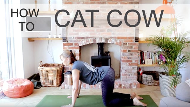 Cat Cow - How To Section