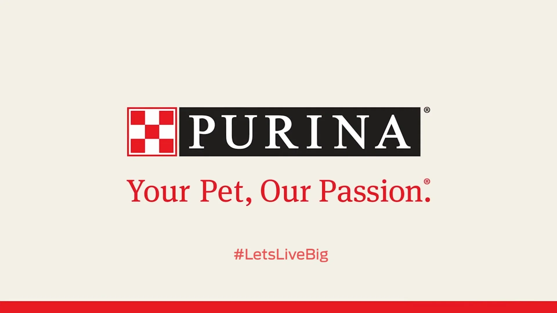 purina's net worth - Ilustrasi 2