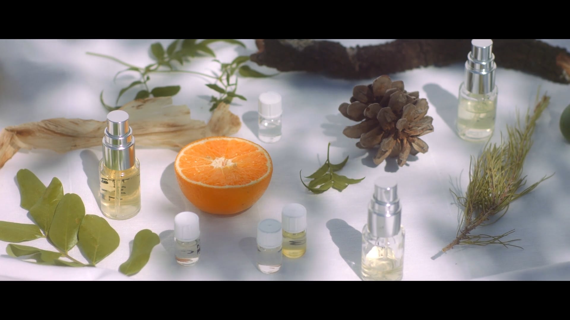 Essential Molecule 05 Brand documentary